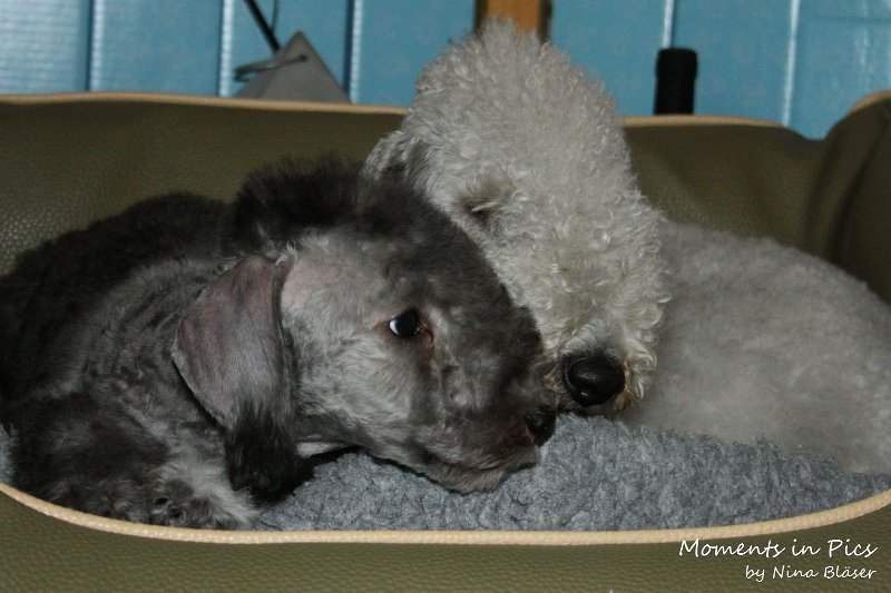 Antares 2009-08-01 & 02 (9).JPG